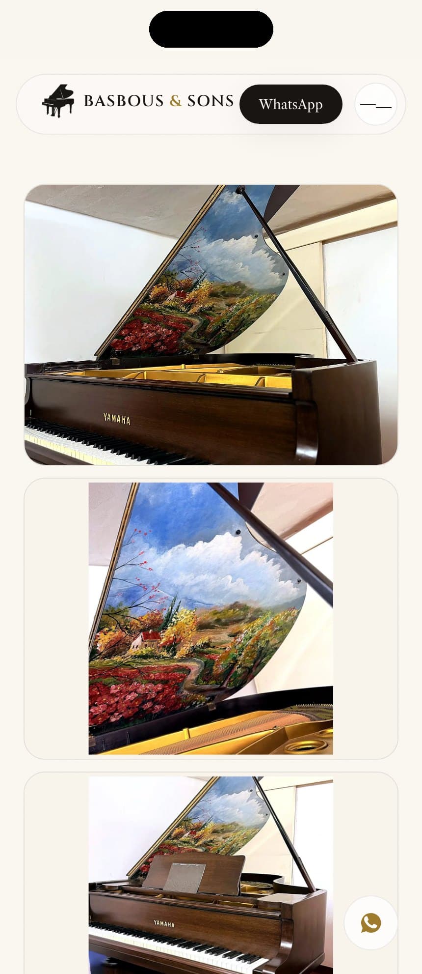 Instrument photo gallery on a phone